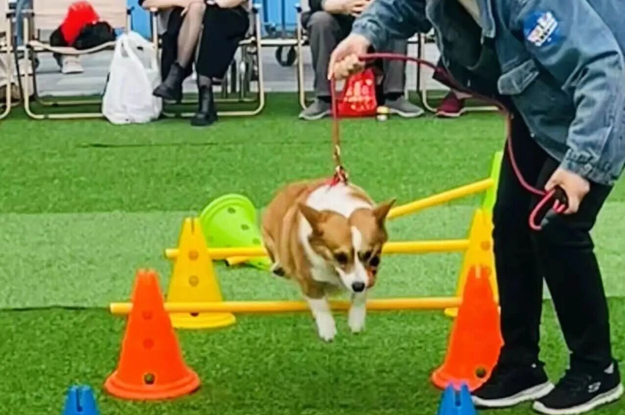 亿万28 - 相信品牌的实力